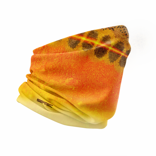 GOLDEN TROUT | SHIELD