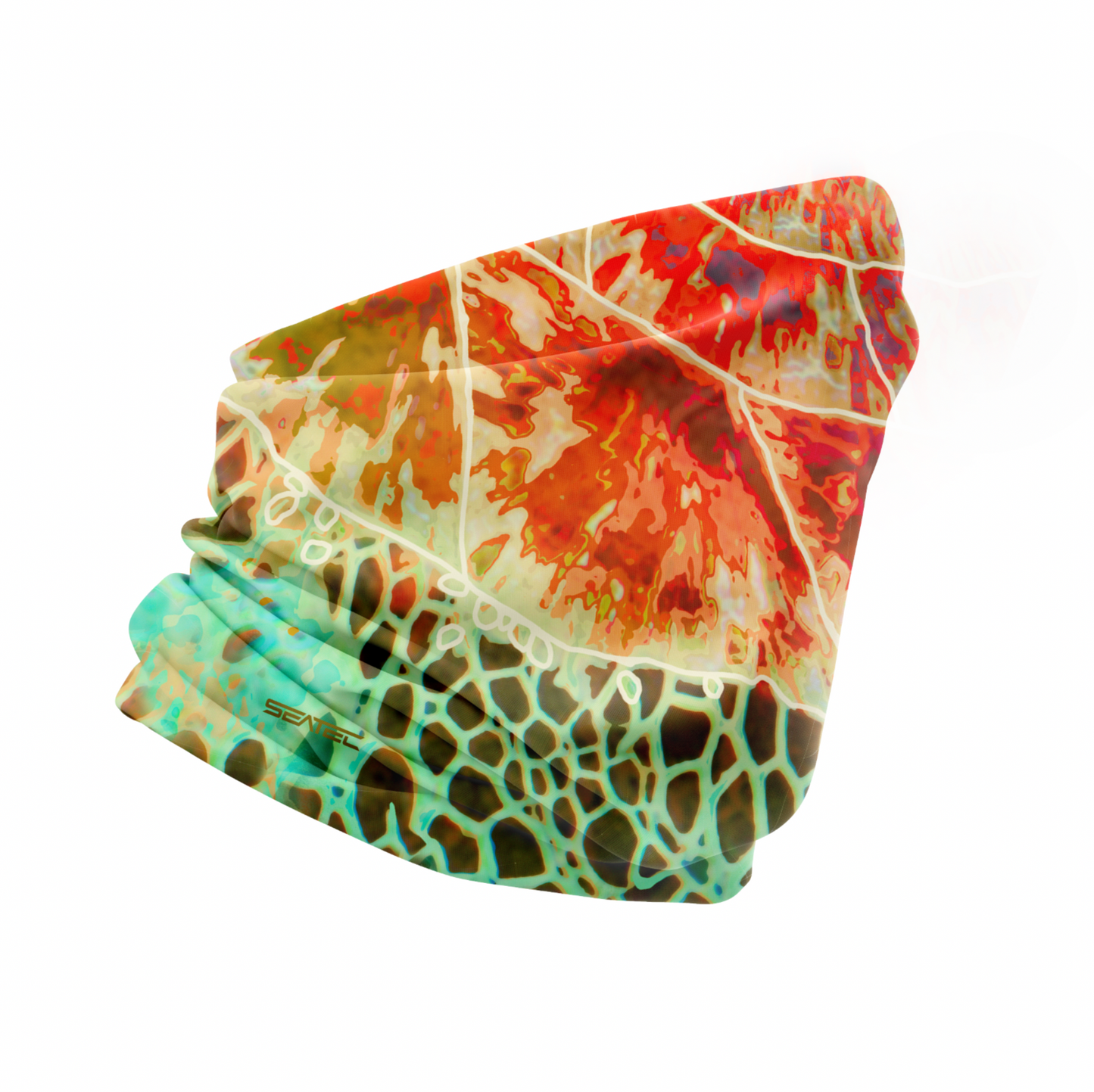 SEA TURTLE | SHIELD