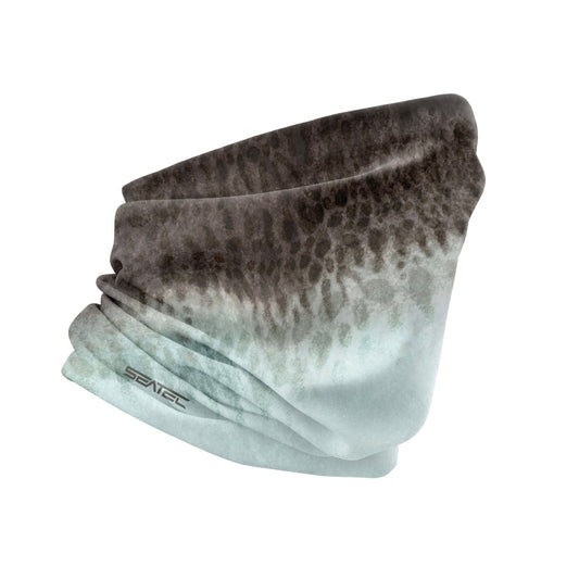 TIGER SHARK | SHIELD